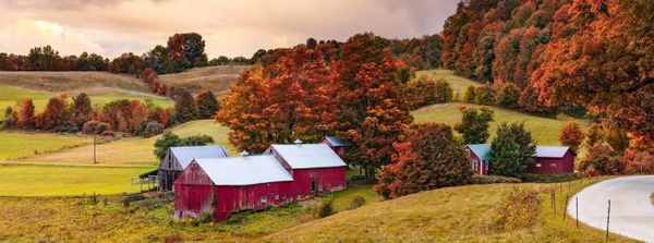 Op-Ed | Overcoming Medical Isolation in Remote and Rural Communities