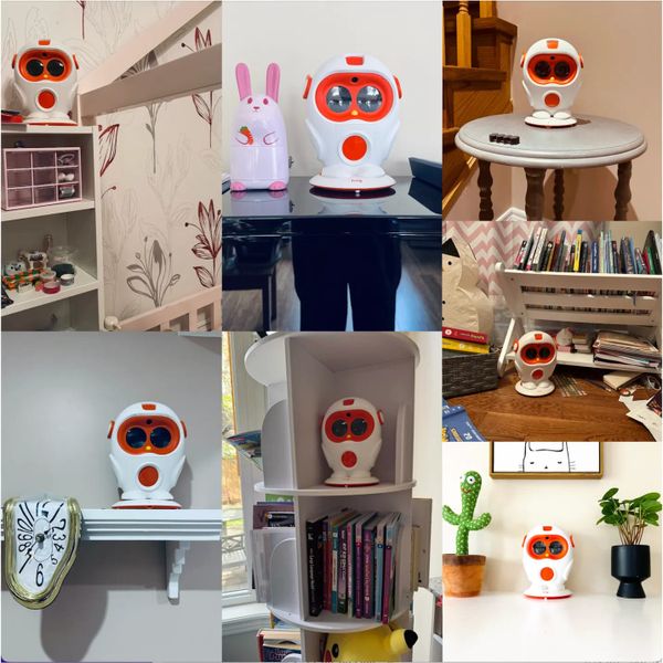 How children and families engage with retired social robot