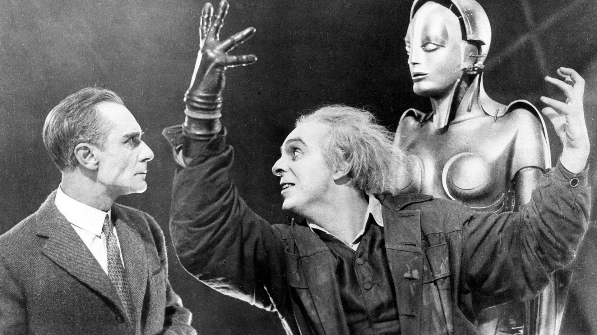 The world that bots built