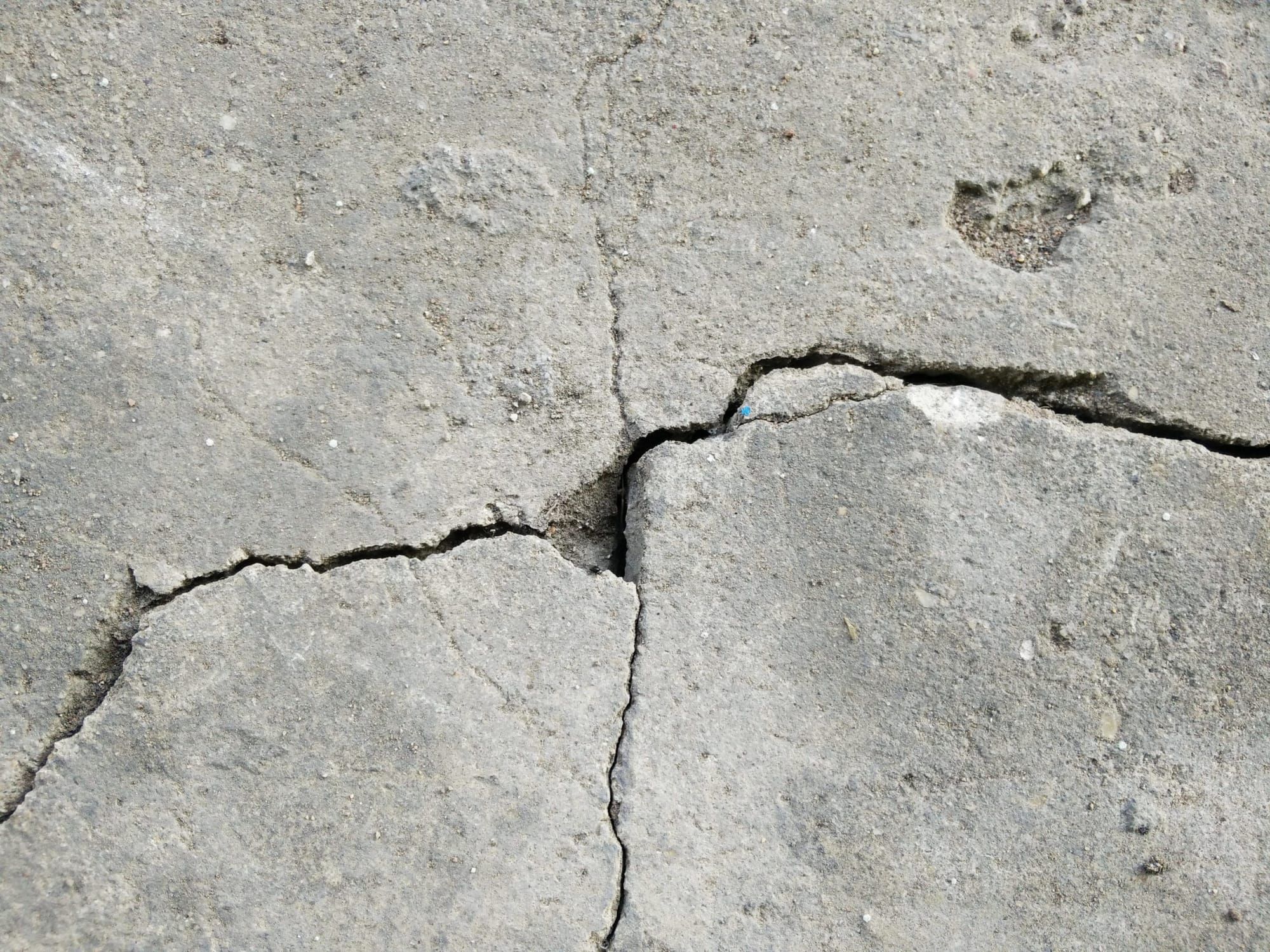 A photo of cracks in a concrete floor