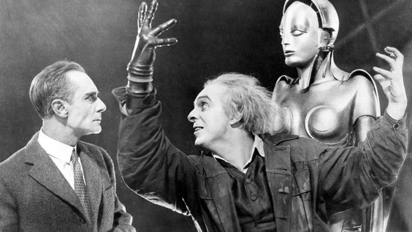 The world that bots built