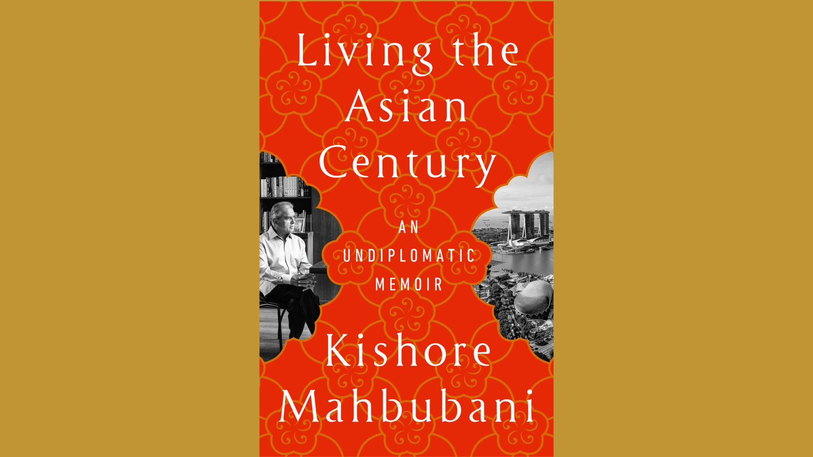 Kishore Mahbubani tries to be undiplomatic