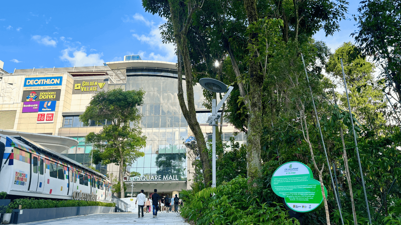 Can microforests cool Singapore?