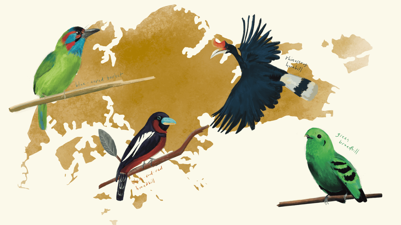 Winged woes: a historical look at birds in Singapore