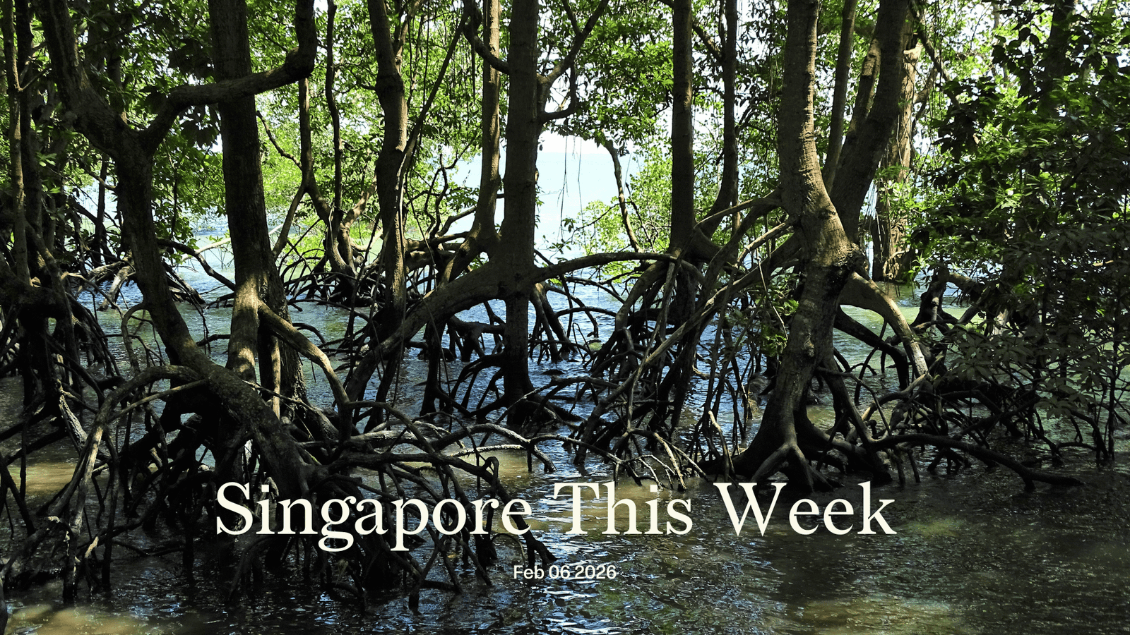 Singapore This Week
