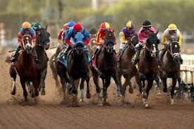 Understanding How Track Surfaces Change Throughout the Day in Horse Racing