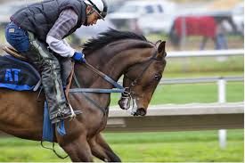 How to Avoid Common Pitfalls in Horse Racing Betting