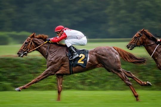 Important Tips Every Horse Racing Enthusiast Should Know to Succeed
