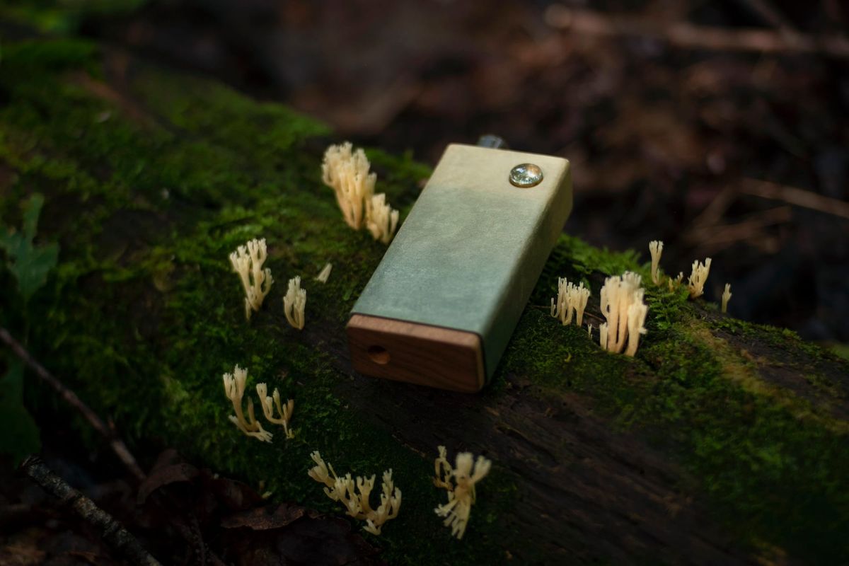 Toad Craft 01