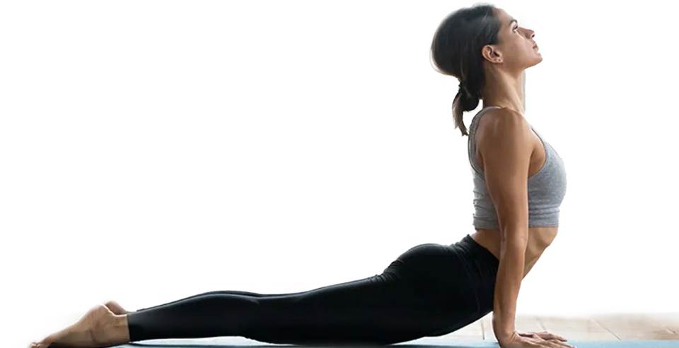 Balanced Body : la marque numéro un mondiale des équipements Pilates