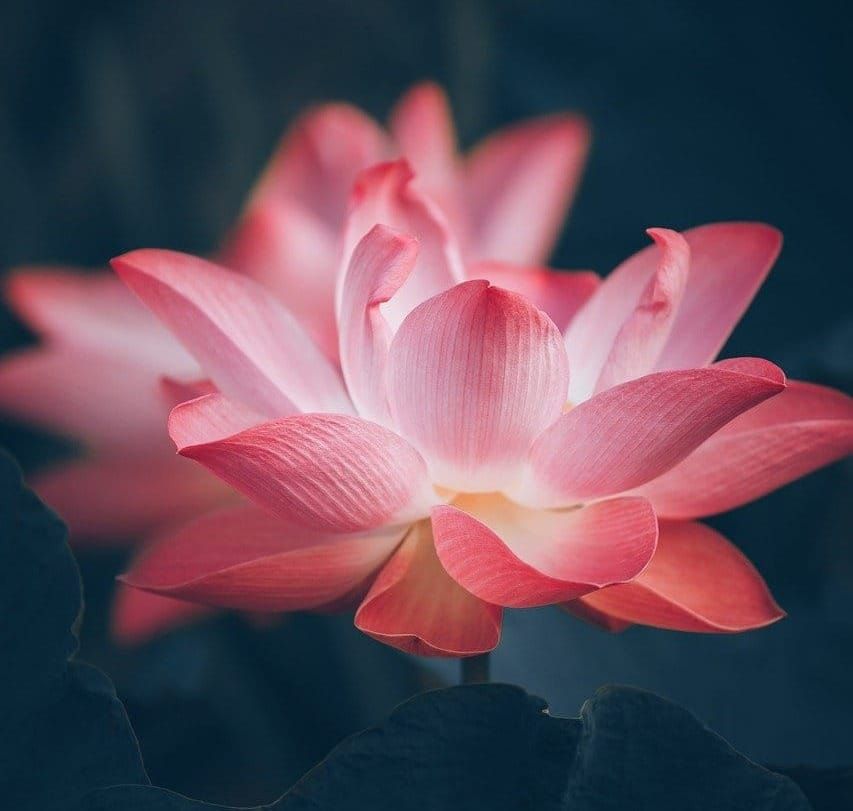 Die ultimative Hilfe-Zur-Selbsthilfe Website