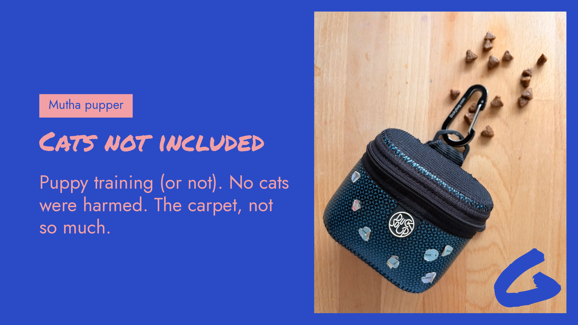 Cats not included, puppy training (or not). No cats were harmed. The carpet, not so much.