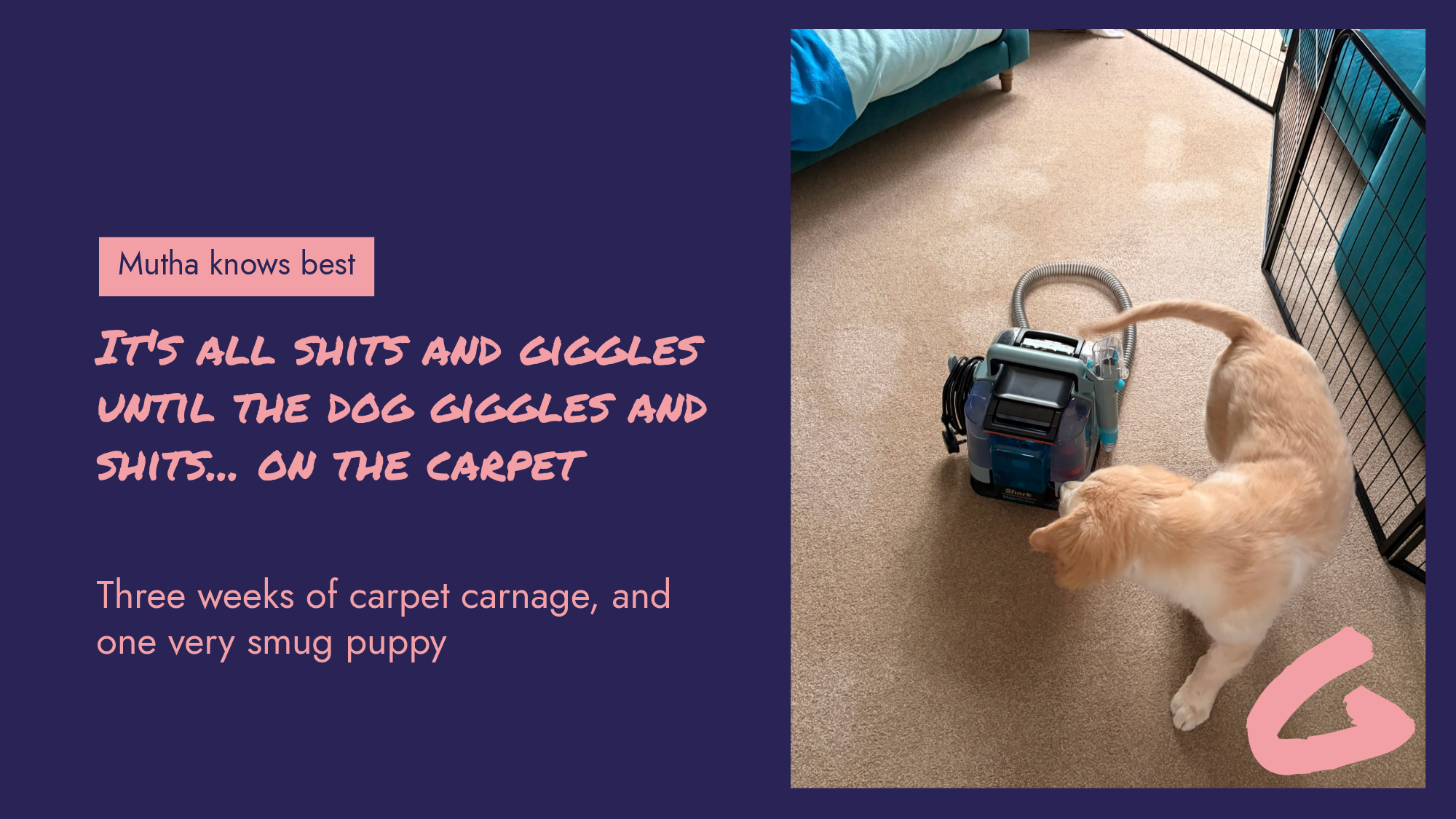 Mutha knows best... it's all shits and giggles, until the dog giggles and shits on the carpet. 