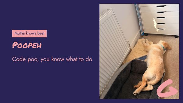 A golden retriever puppy likes with his back end on a dark grey dog bed, and his front on a cream blanket.