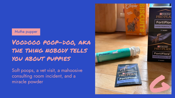 Voodooo poop-doo, aka the thing nobody tells you about puppies