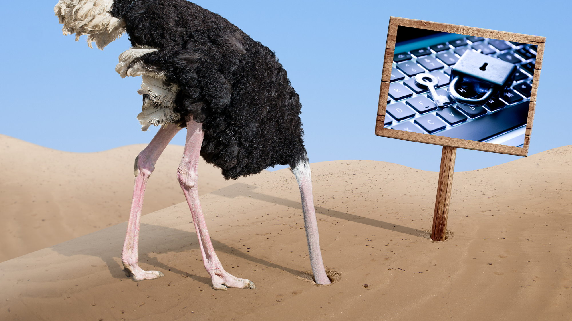 Zero Trust -OR- Ego, the cat, and Clifford the Big Red Dog