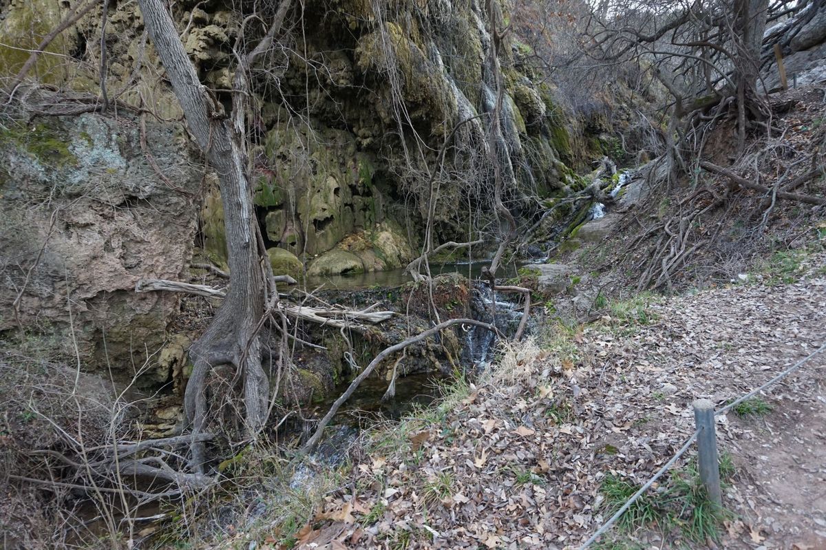 Colorado Bend State Park 2023