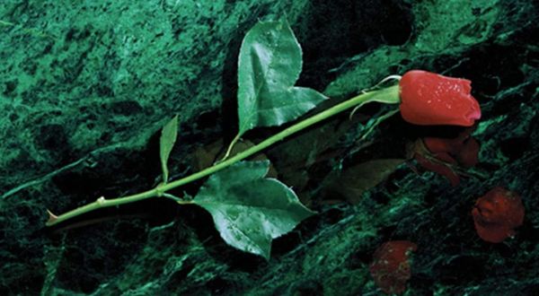 Vampiro: La Mascarada para principiantes