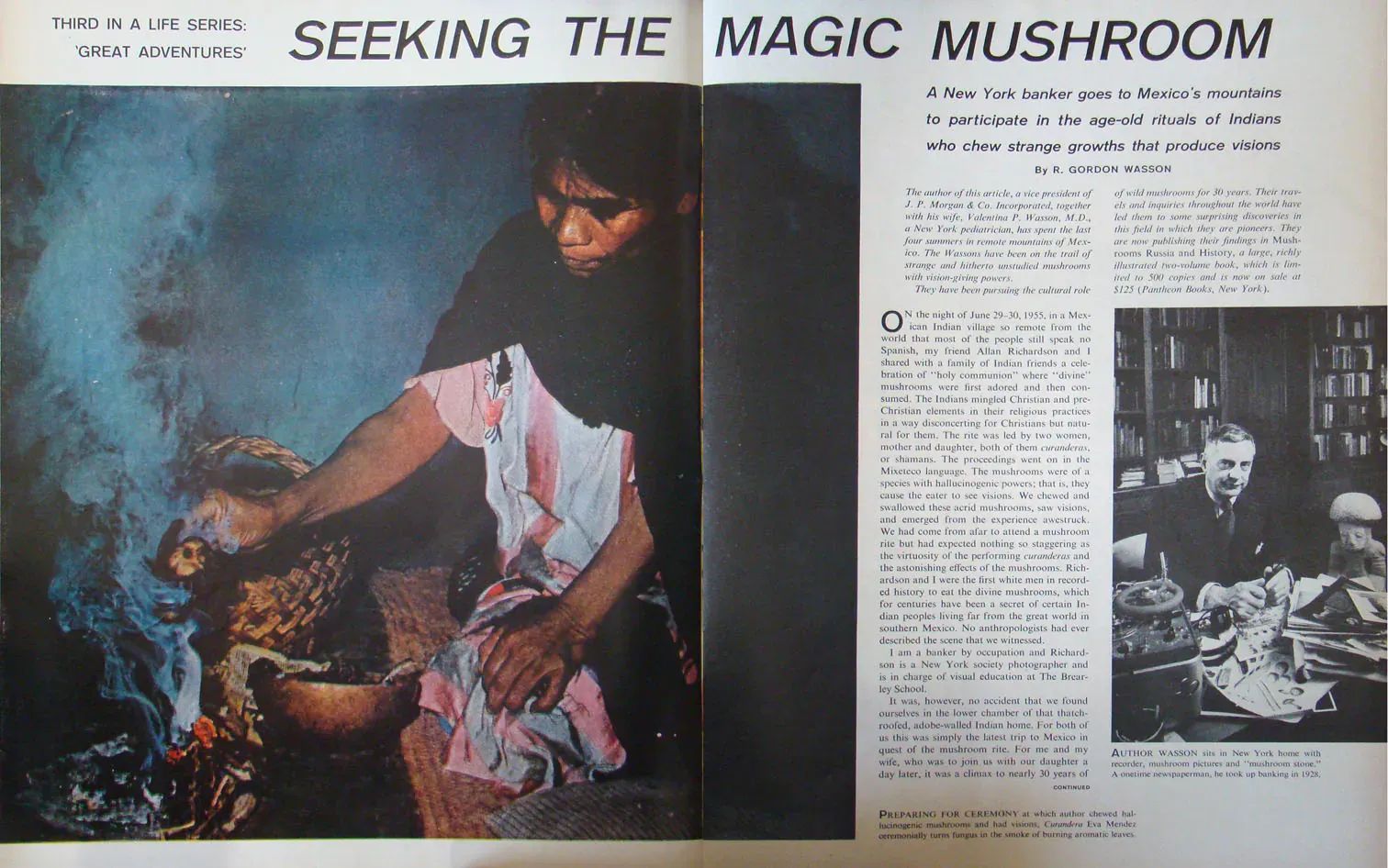 Psychedelics won't make you a better founder
