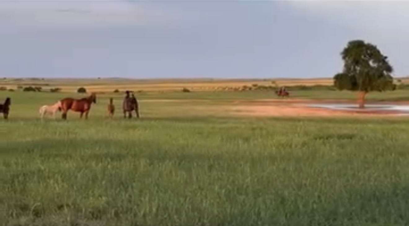 Cowboy Hat Chronicles