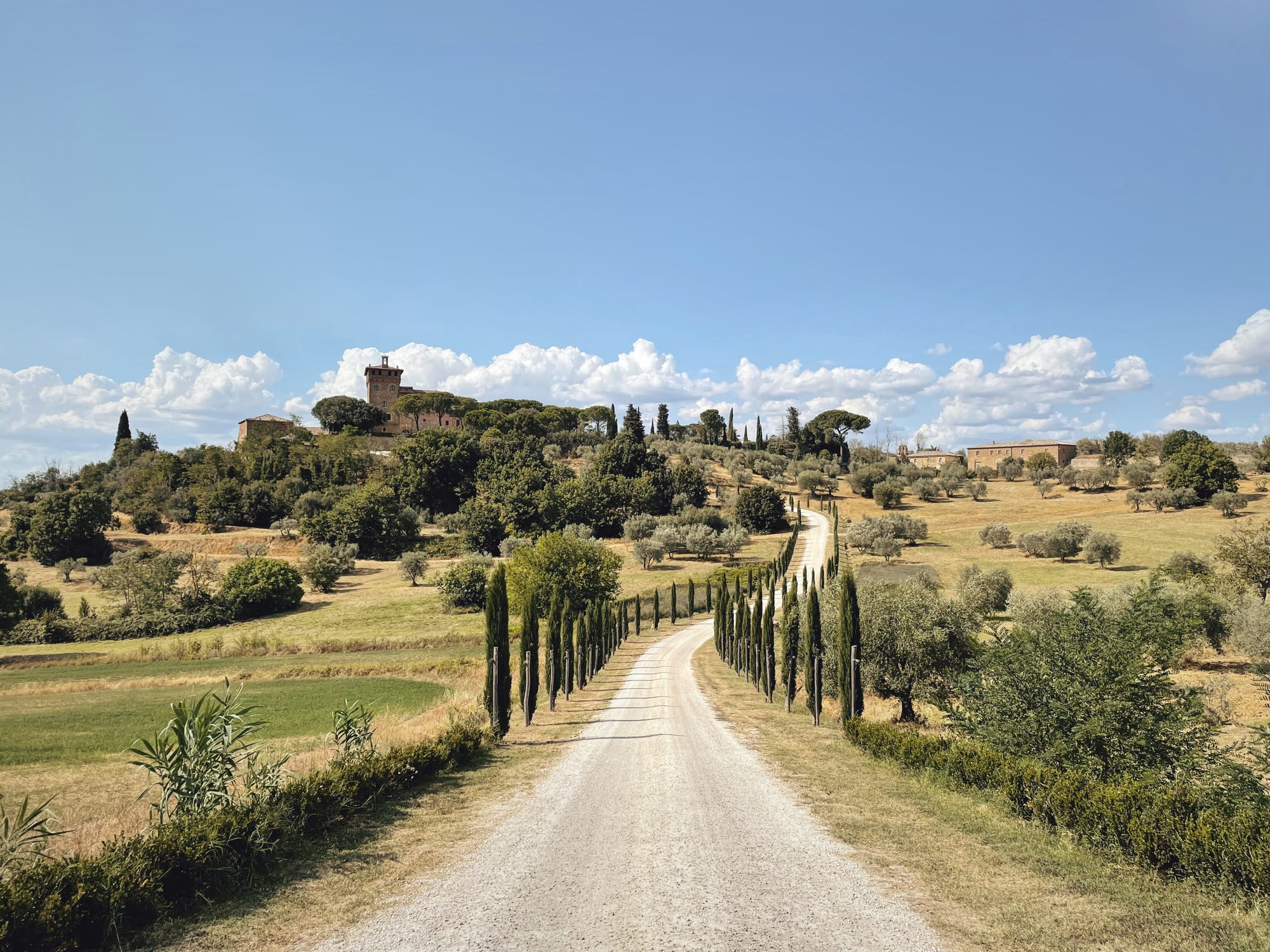 Driving on the roads of Tuscany is an experience to be had at least once in a lifetime, and it is an experience that should not be missed.
