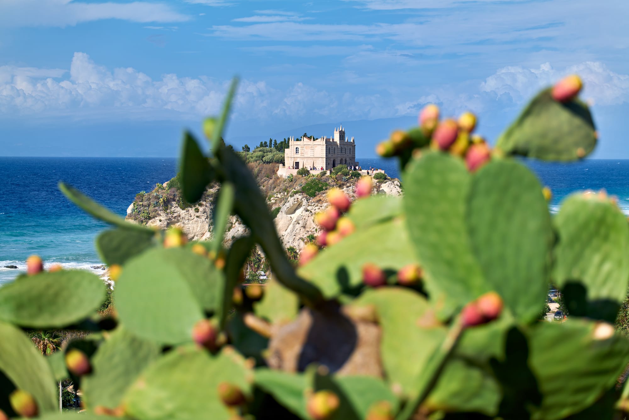 View of the Sanctuary of Santa Maria dell'Isola monastery in Tropea, Calabria, seen from a viewpoint with cactus leaves in the foreground. The image showcases this icon of the Coast of the Gods.