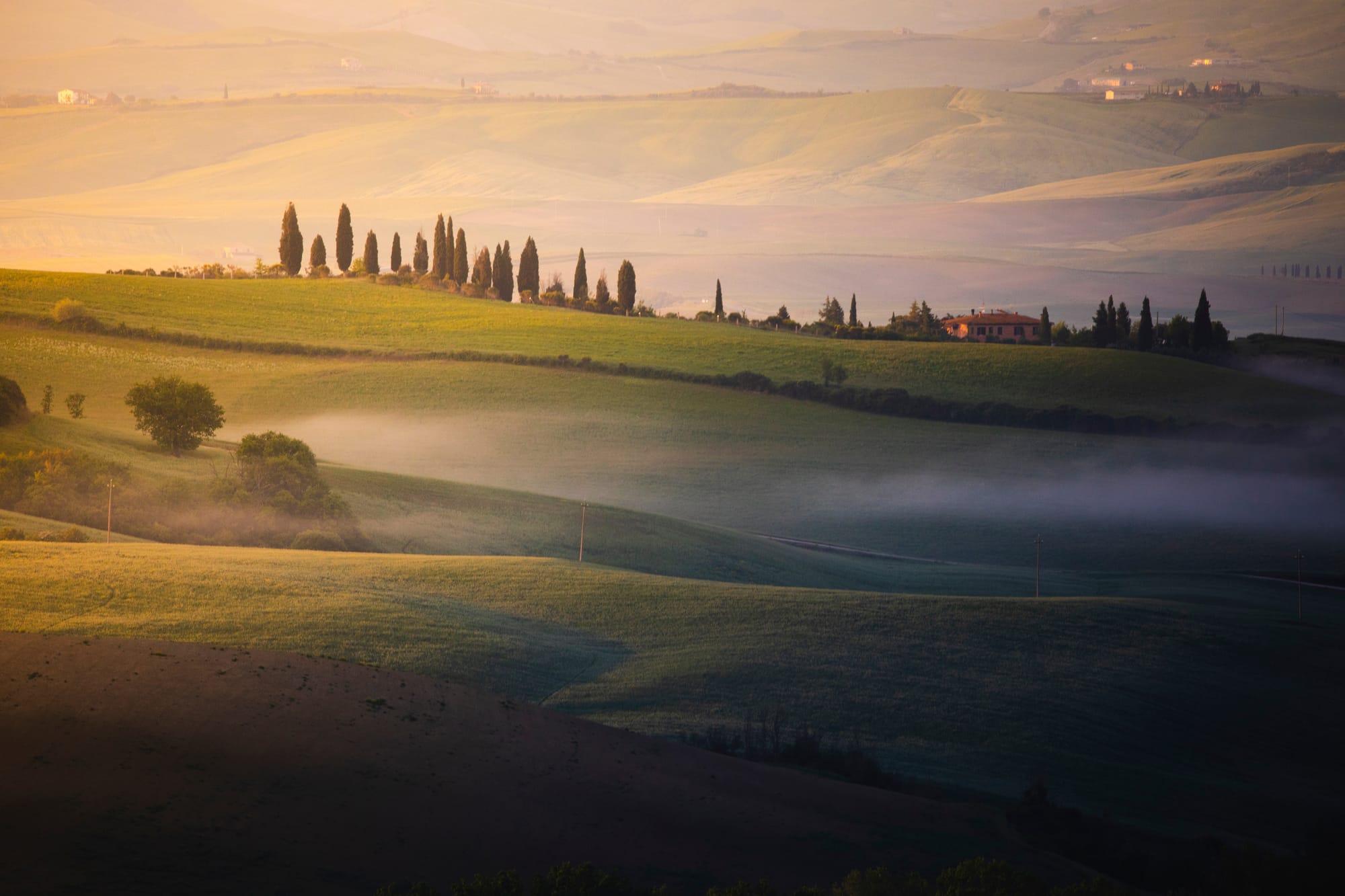 Famous view of the rolling hills of Val d'Orcia at sunrise, covered in a layer of morning fog with cypress trees emerging from the mist.