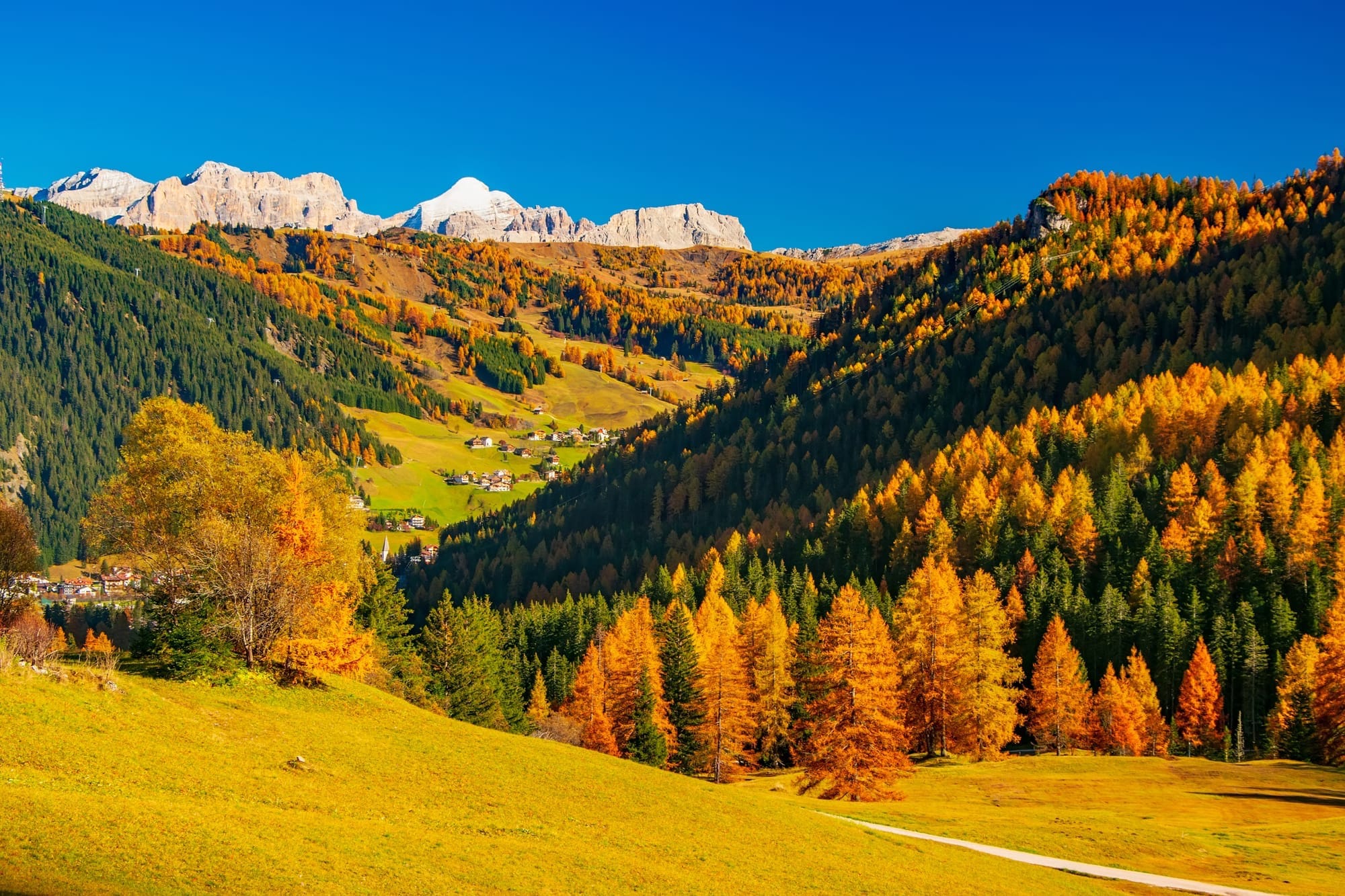The majestic Dolomite mountains in Alta Badia, Italy, with vibrant golden larch trees illuminated by the sun on a clear autumn day in October.