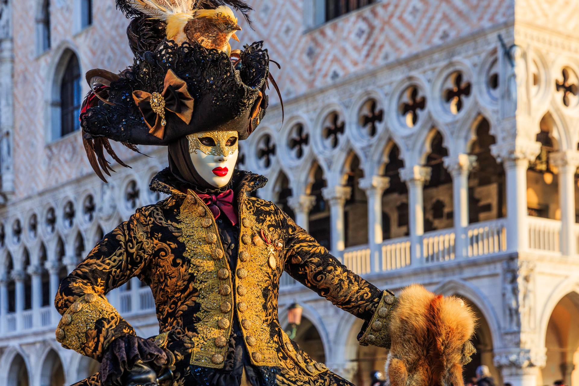 Close-up of a beautiful, hand-painted traditional Venetian mask made of papier-mâché featuring intricate gold details and feathers.