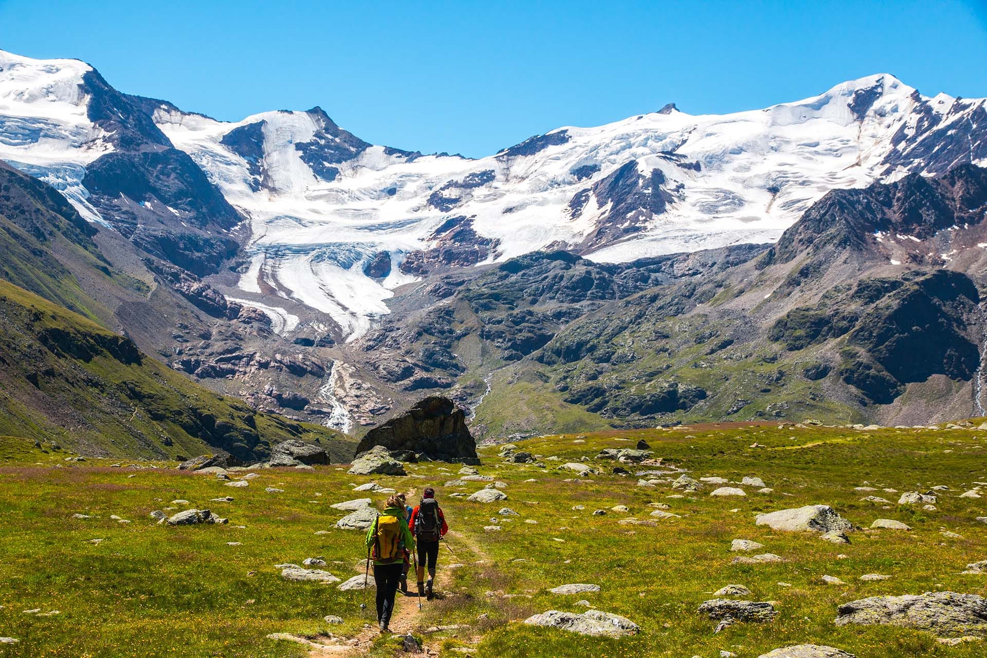 Mountaineers walking across Forni Glacier in Stelvio National Park, Ortler-Cevedale massif, Lombardia, Italy.