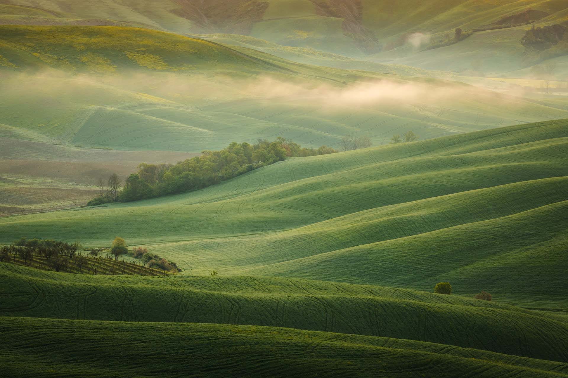 Soft layers of rolling Tuscan hills receding into the distance with delicate morning mist weaving between the ridgelines and scattered trees, Tuscany, Italy.