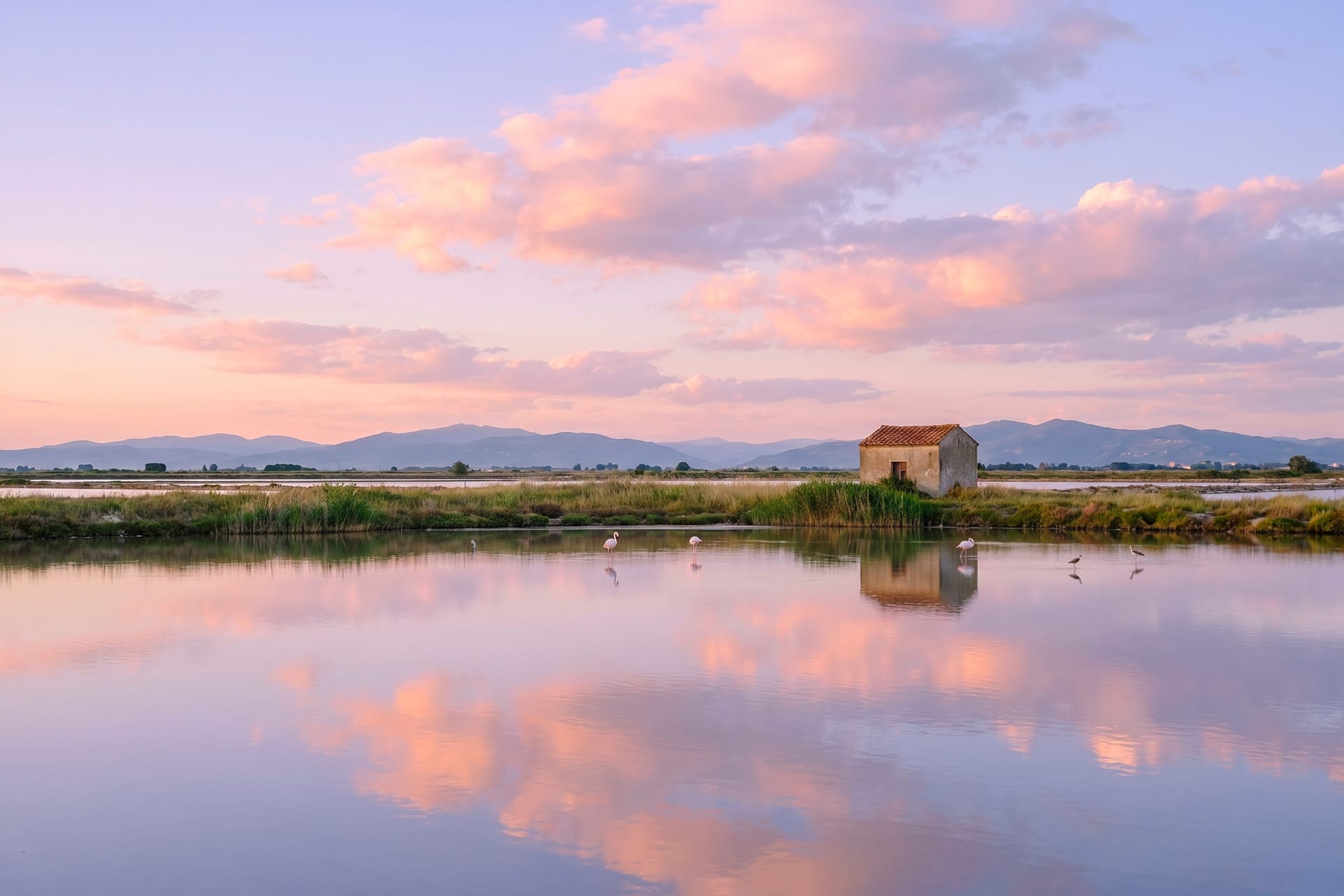 Pink sunset reflected in the Saline di Cervia salt pans with wading flamingos and a salt hut