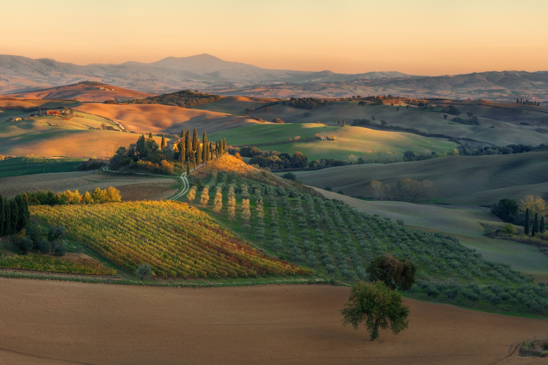 The Val d'Orcia at sunrise south of Siena, a rural base for the Palio di Siena