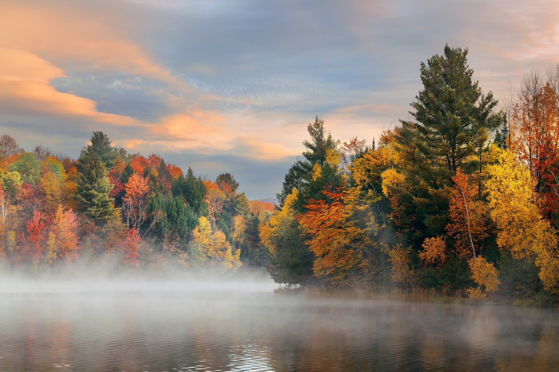 Mist over a forest lake with peak autumn foliage in the Apennine mountains of Italy