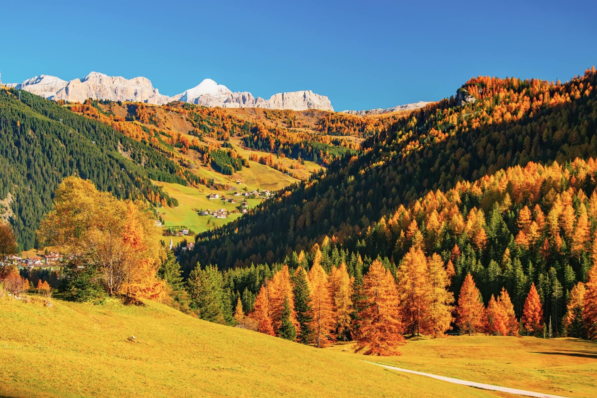 A wide dolomite valley with green pastures, golden larch foliage, and snow-dusted peaks