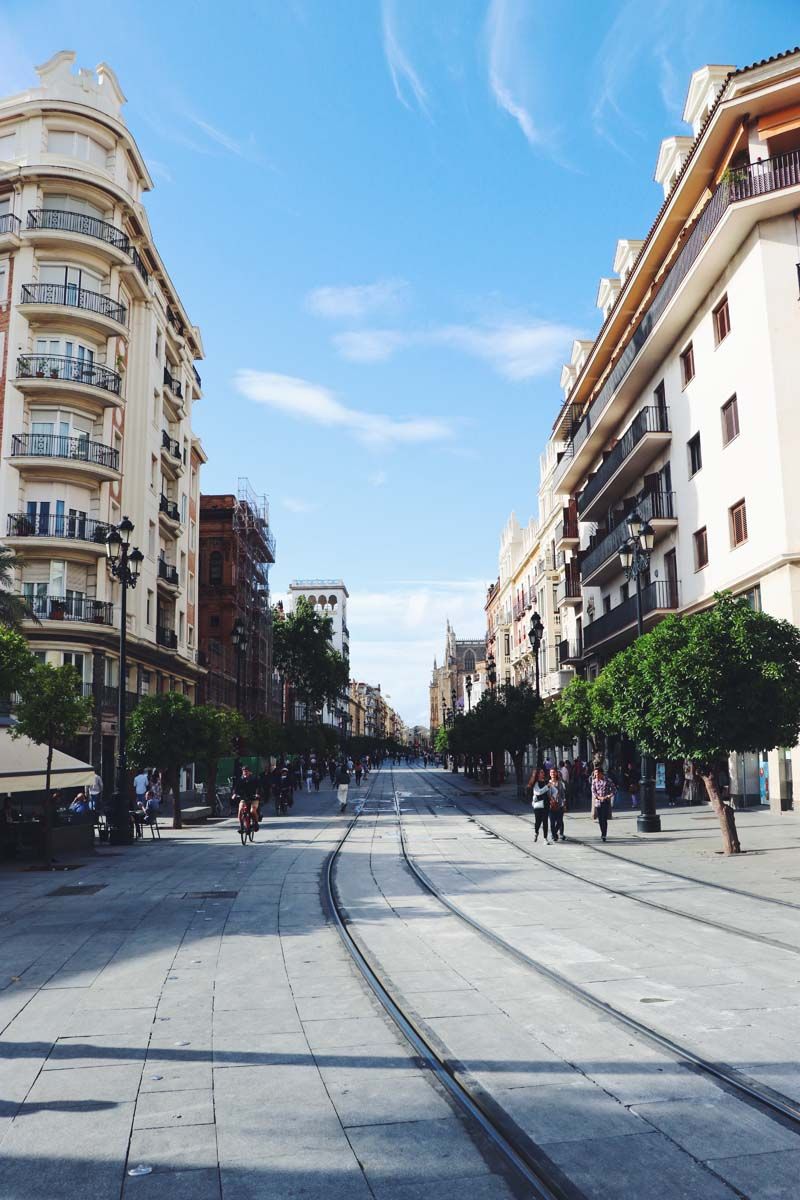 Als je goed kijkt, proef je de geur van paardenkak
