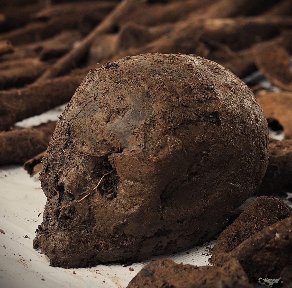 Le FDLR demeure toujours une menace majeure pour le Rwanda