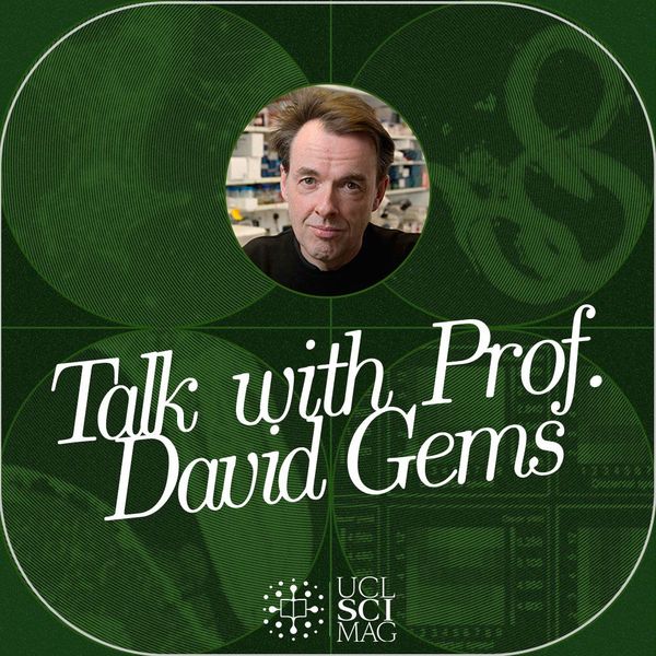 Come to our Academic Talk with Prof. David Gems!