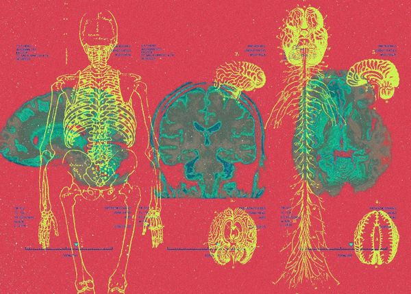 Is Pain Really Painful? Let’s Ask Our Minds