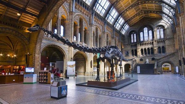 Natural History Museum Social