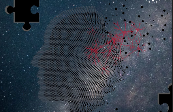 The Fire Within: A Look at the Inflammatory Basis of Schizophrenia