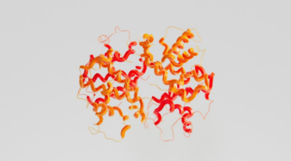 From Sequence to Structure: The Protein Folding Enigma