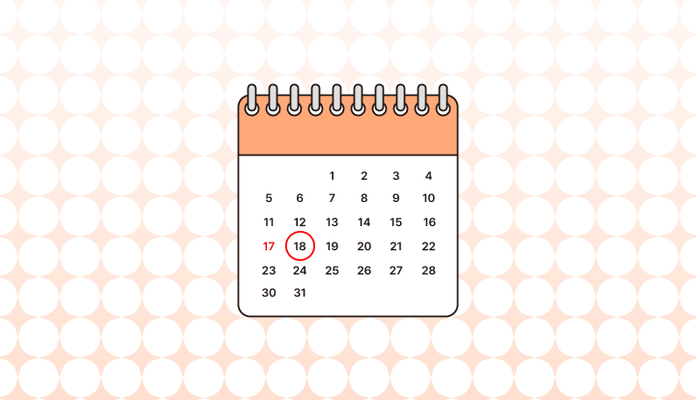 대체공휴일 영어로 (substitute holiday, alternative holiday, changed holiday, replacement holiday, compensatory holiday 차이)