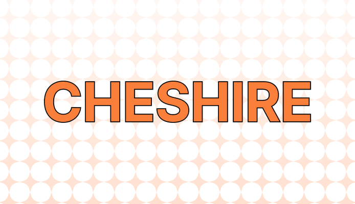Cheshire 뜻과 예시