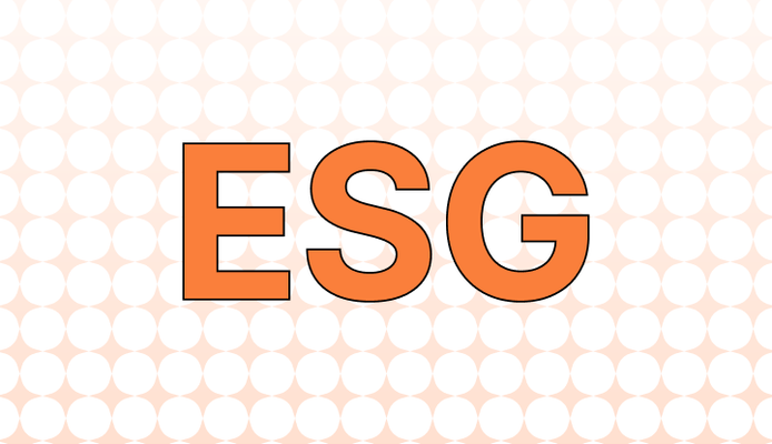 ESG 뜻과 예시