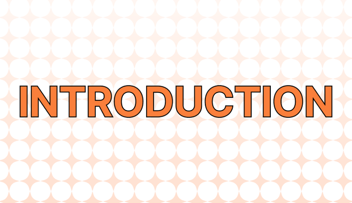 Introduction 뜻과 예시