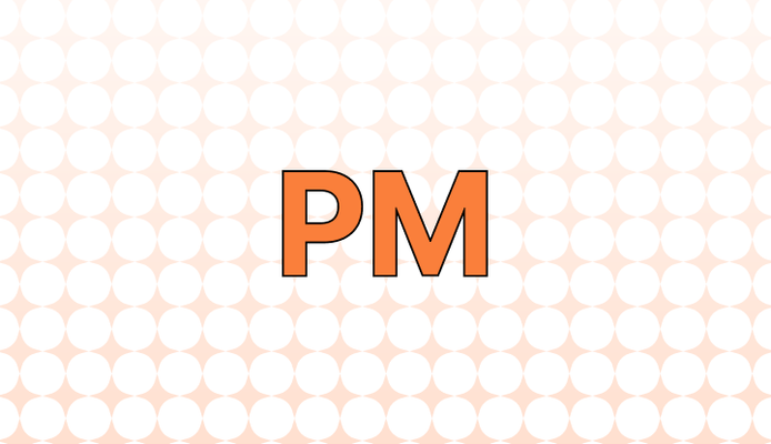 PM 뜻과 예시