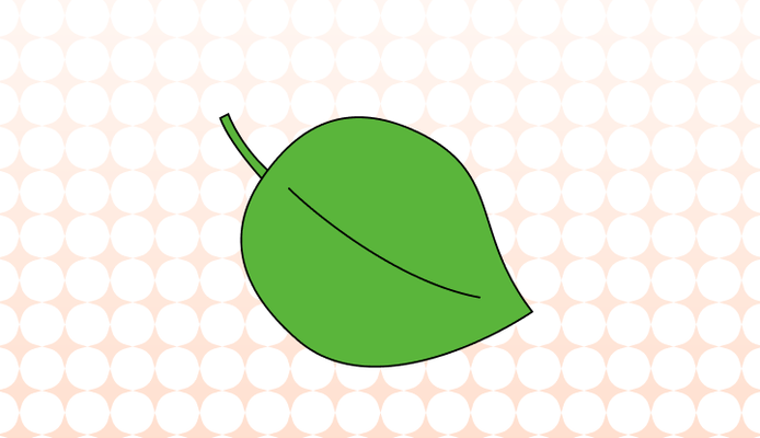 깻잎 영어로 (Perilla leaves 및 예시 문장)