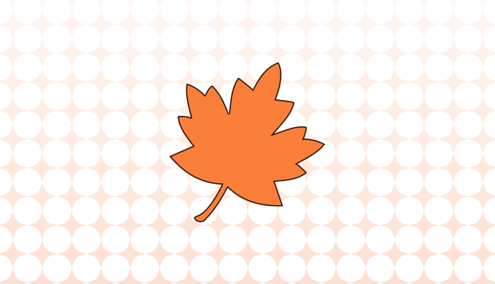 낙엽 영어로 (Fallen Leaves, Autumn Leaves 표현 차이)