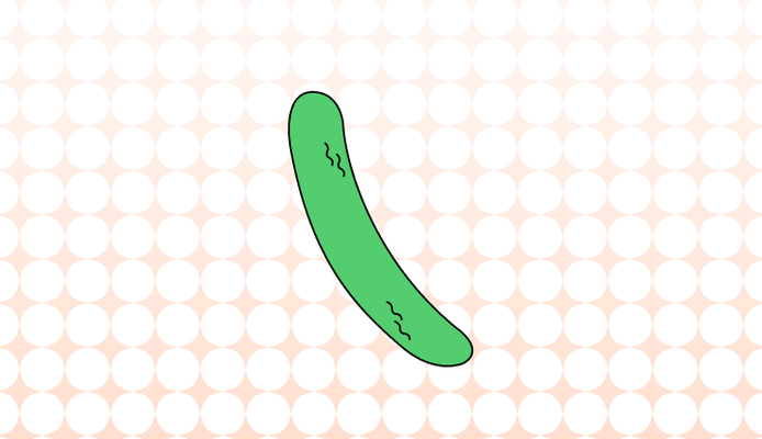 오이 영어로 (Cucumber, Cuke 및 예시 문장)